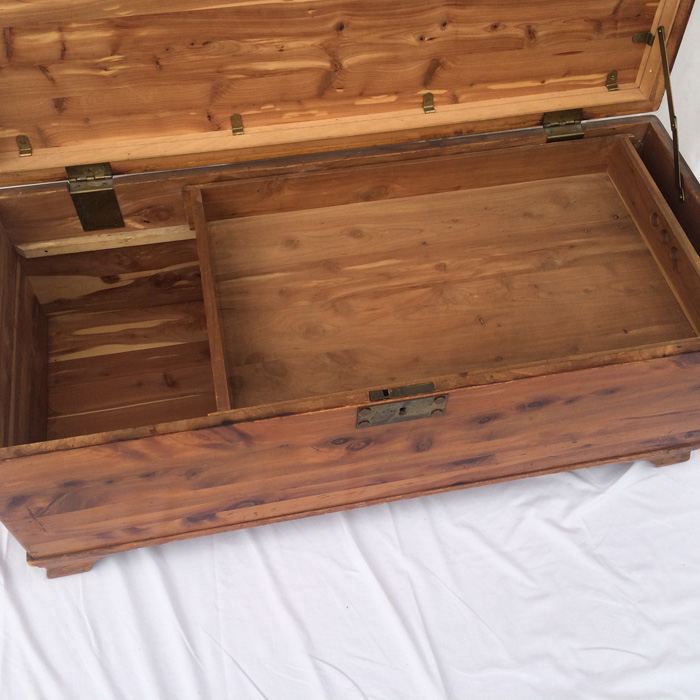 Cedar Trunk [Photo 3]