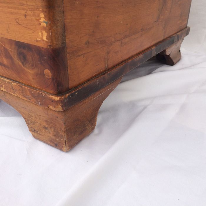 Cedar Trunk [Photo 9]