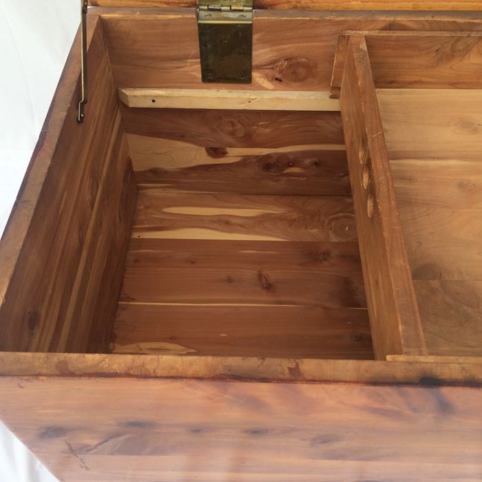 Cedar Trunk [Photo 11]