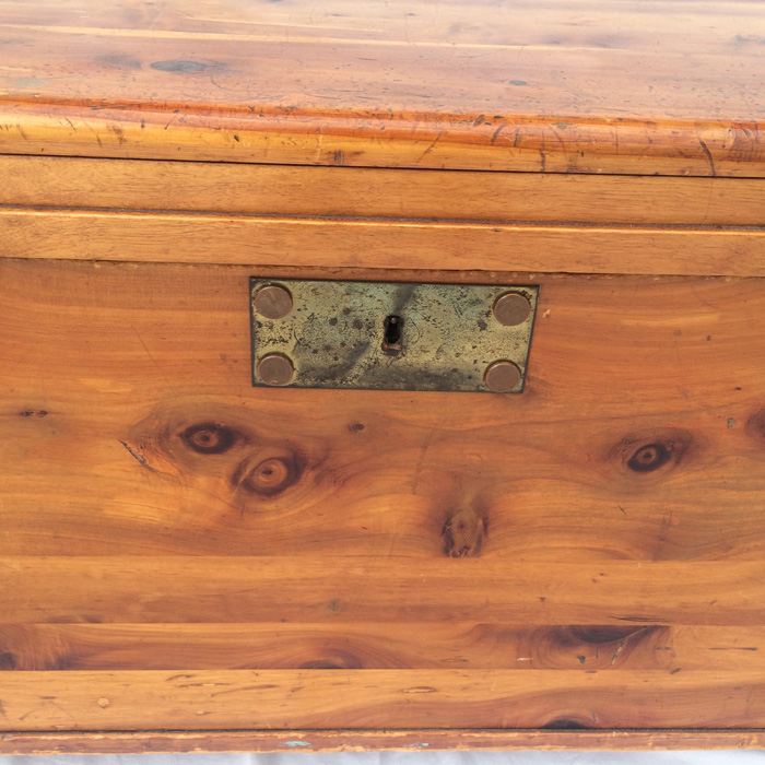 Cedar Trunk [Photo 10]