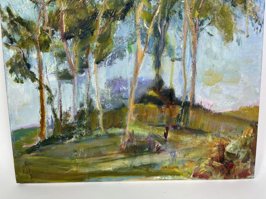 Original Unsigned Joan Lohrey Abstract Expressionist Plein Air Painting On Canvas 16 X 20 [Photo 6]