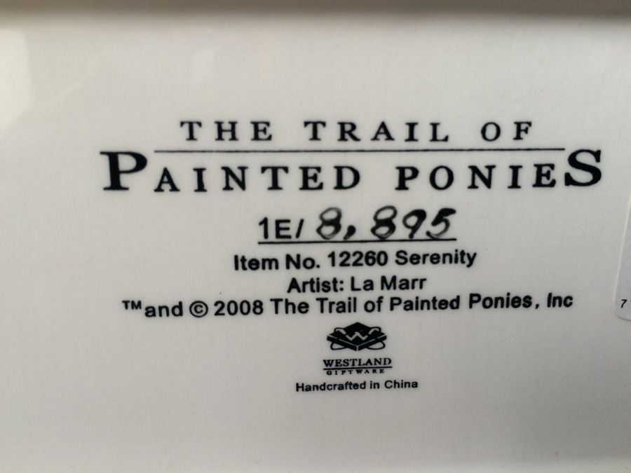 Pair of Painted Ponies [Photo 12]