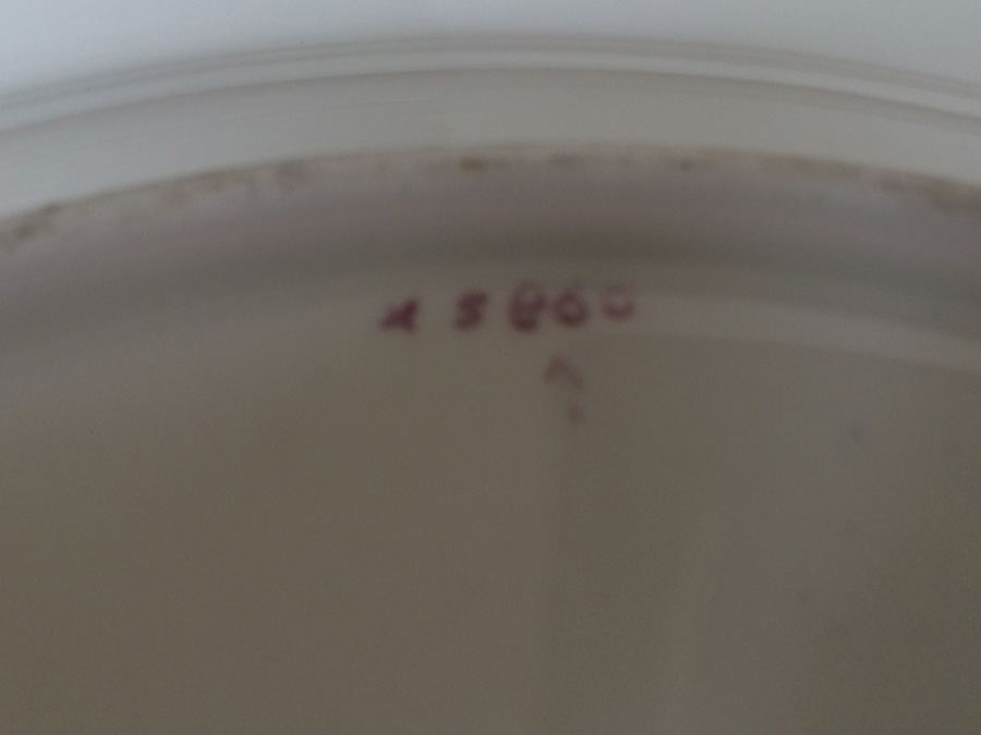 Wedgwood England Plates [Photo 11]