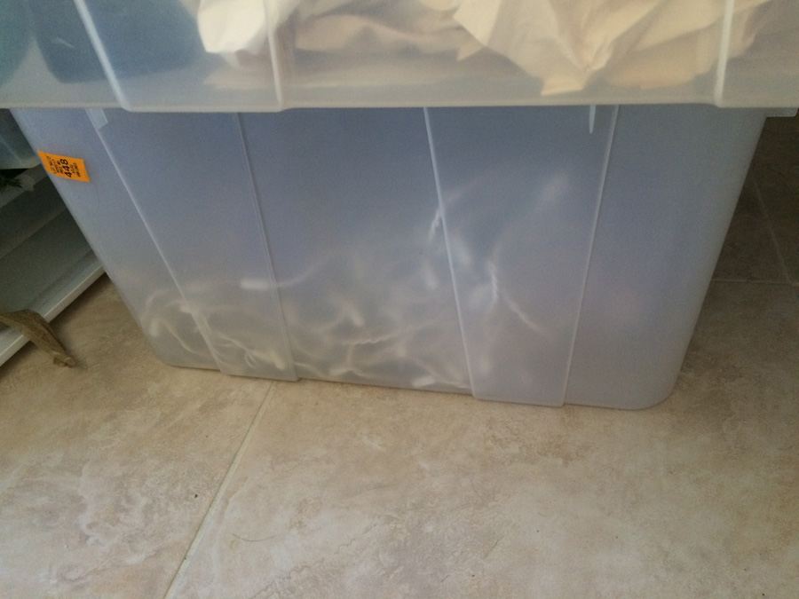 Christmas Lot #2 [Photo 31]