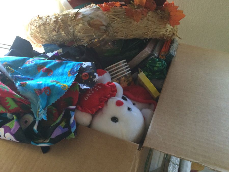 Holiday Lot [Photo 9]