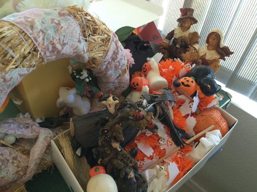 Holiday Lot [Photo 6]