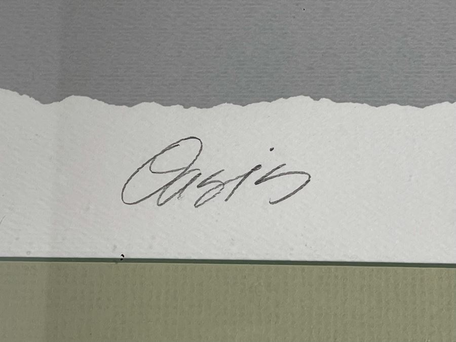 Framed Limited Edition Hand Signed Print Titled Oasis By Primidea 18 X 22 [Photo 7]