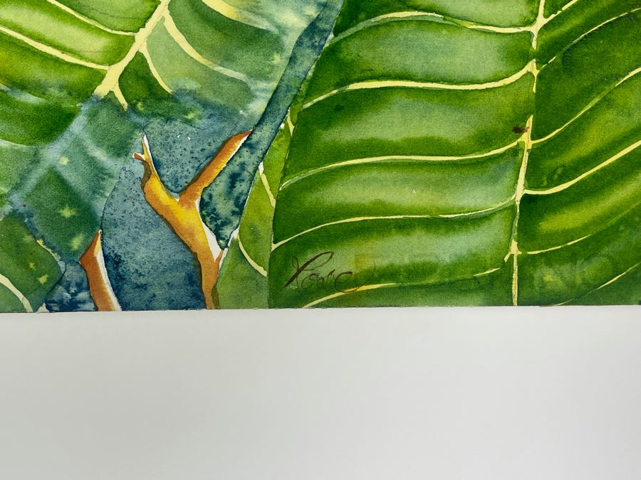 Vintage Hawaiian Original Watercolor Painting On Paper Signed Rose 34 X 26 [Photo 6]