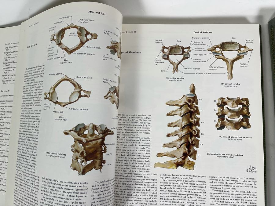 First Printing Pair Of Medical Books The CIBA Collection Of Medical Illustrations Volume I And II Nervous System: Anatomy And Physiology; Nuerologic And Neuromuscular Disorders [Photo 8]