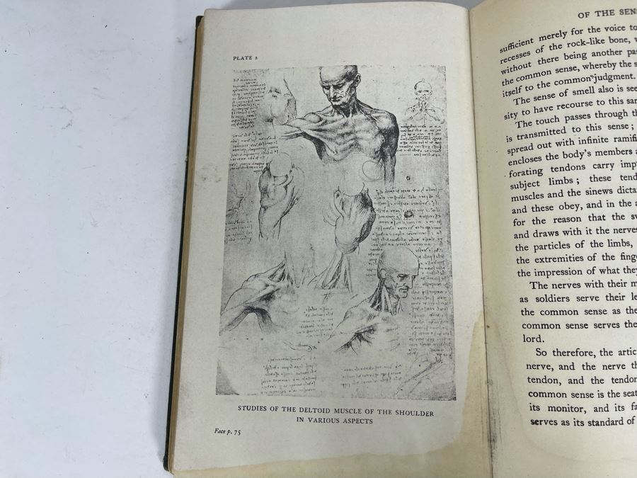 Vintage 1923 Book Leonardo Da Vinci's Note Books By Edward McCurdy [Photo 10]