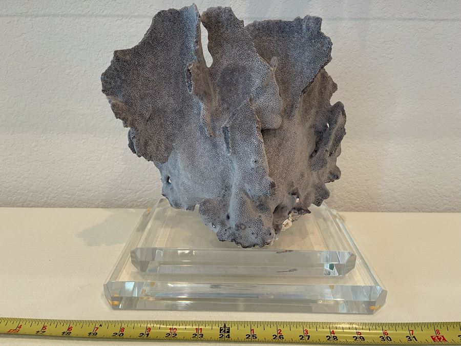 Organic Coral Sculpture On Lucite Base 12W X 7.5D X 10H [Photo 2]