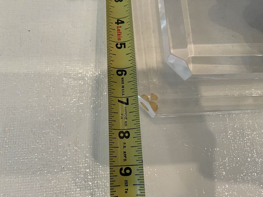 Organic Coral Sculpture On Lucite Base 12W X 7.5D X 10H [Photo 7]