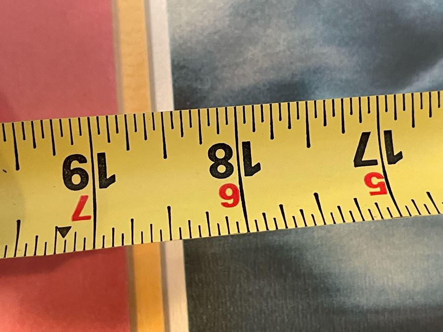 Hand Signed USC Running Back Charles White (Heisman Trophy Winner) Photographic Print Titled “Student Body Right” Also Signed By Photographer Eric Figge 18.5 X 13 [Photo 9]