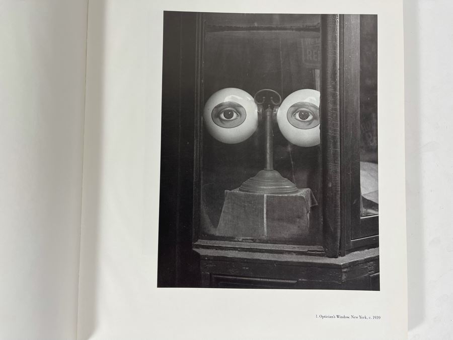 Photographer Irving Penn Book By John Szarkowski [Photo 3]