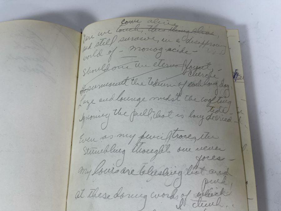 Sketch Book Journal Featuring Dozens Of Hand Drawn Costume Dress Designs (Attributed To Jacquelyn Littlefield) [Photo 17]