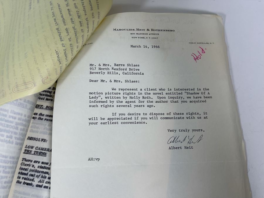 Three Scripts Of Shadow Of A Lady By Barre Lyndon Based On Book By Holly Roth [Photo 13]