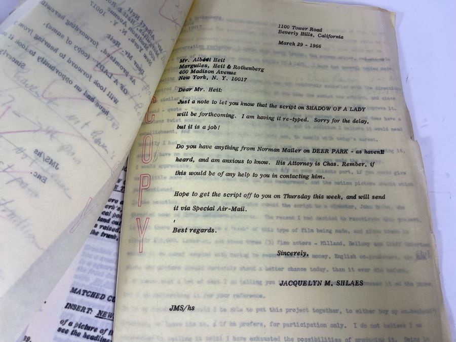 Three Scripts Of Shadow Of A Lady By Barre Lyndon Based On Book By Holly Roth [Photo 11]