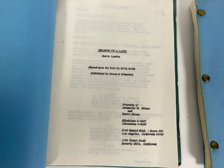 Three Scripts Of Shadow Of A Lady By Barre Lyndon Based On Book By Holly Roth [Photo 6]