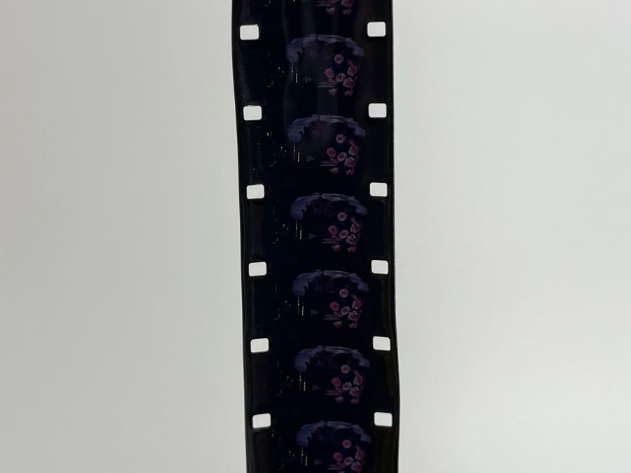 JUST ADDED - Vintage Camera Film Case 11W X 13D X 7H Filled With Old Motion Picture Mystery Film (Some Of The Film Is Damaged) [Photo 16]