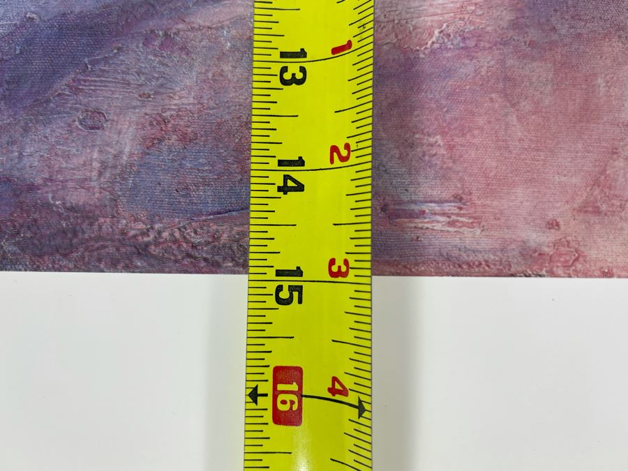 JUST ADDED - Hand Signed Mike Ross Auto A/P Print 19 X 15 [Photo 9]