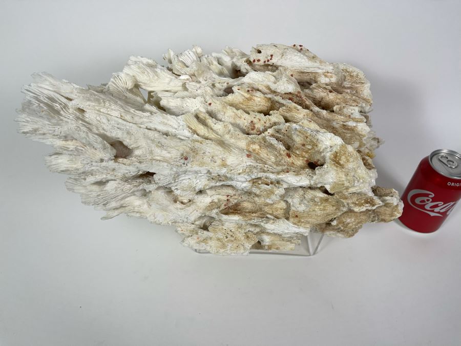 Organic Coral Sculpture With Lucite Stand 15W X 9.5D X 9.5H [Photo 4]