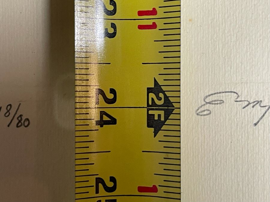 Susan Dysinger Color Etching And Aquatint Print Titled “Empress Of The Blues” Hand Signed Limited Edition 1977 Framed 11.5 X 24 [Photo 14]