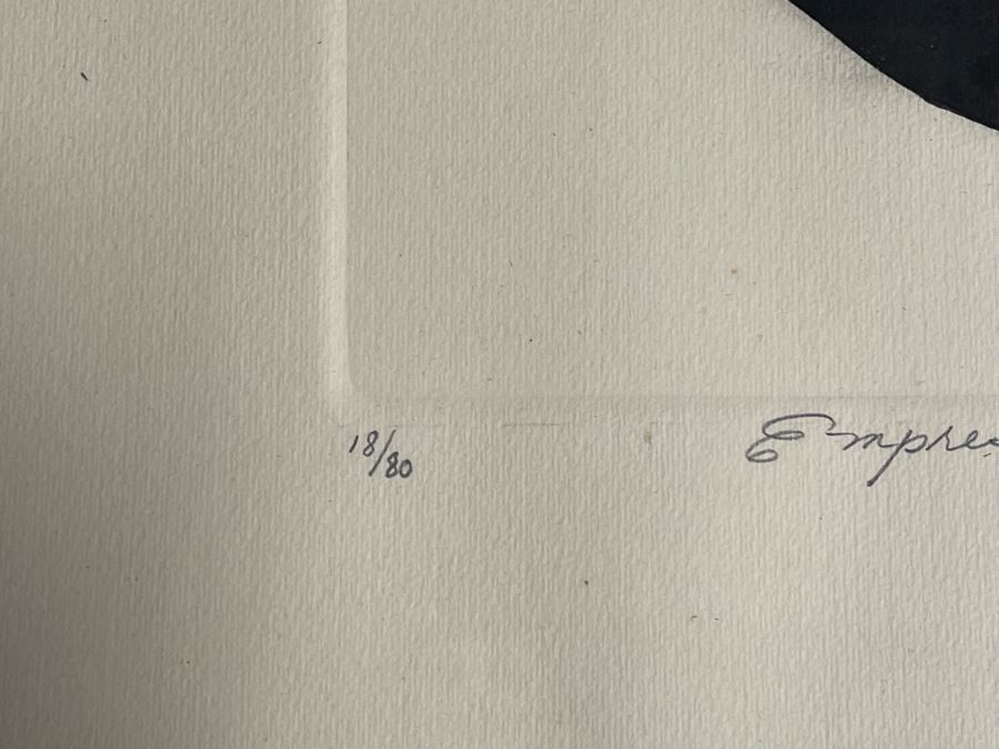 Susan Dysinger Color Etching And Aquatint Print Titled “Empress Of The Blues” Hand Signed Limited Edition 1977 Framed 11.5 X 24 [Photo 11]