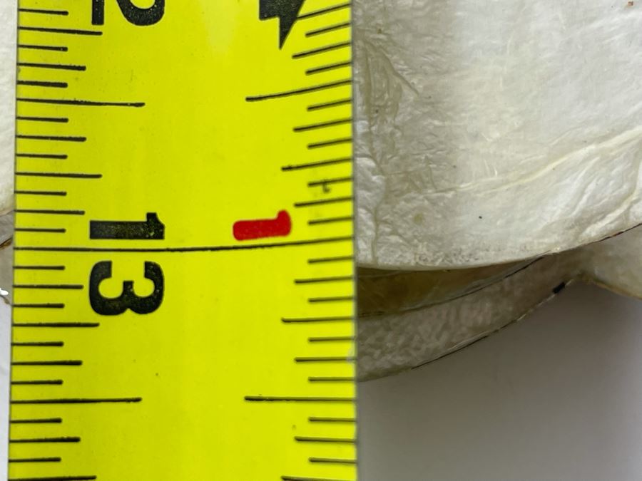 Eight Shell-Craft Capiz Shell Placemats 19W X 13D [Photo 8]