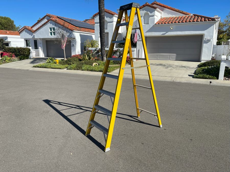 Werner Fiberglass 8' Ladder Model 6258 [Photo 2]