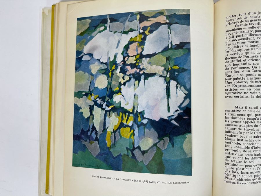 1957 First Edition Book Bernard Dorival Les Peintres Du Vingtieme Siecle Du Cubisme A L'Abstraction (Twentieth Century Painters From Cubism To Abstraction) 1914-1957 Paris France [Photo 11]