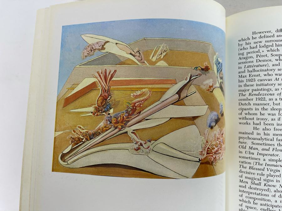 First Edition 1973 Book Max Ernst By Gaston Diehl Crown Publishers New York [Photo 8]