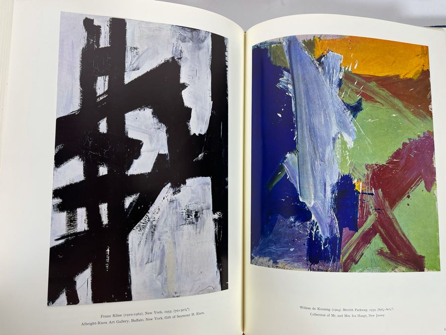 Special First Edition Two-Volume Set 1969 American Painting The 20th ...