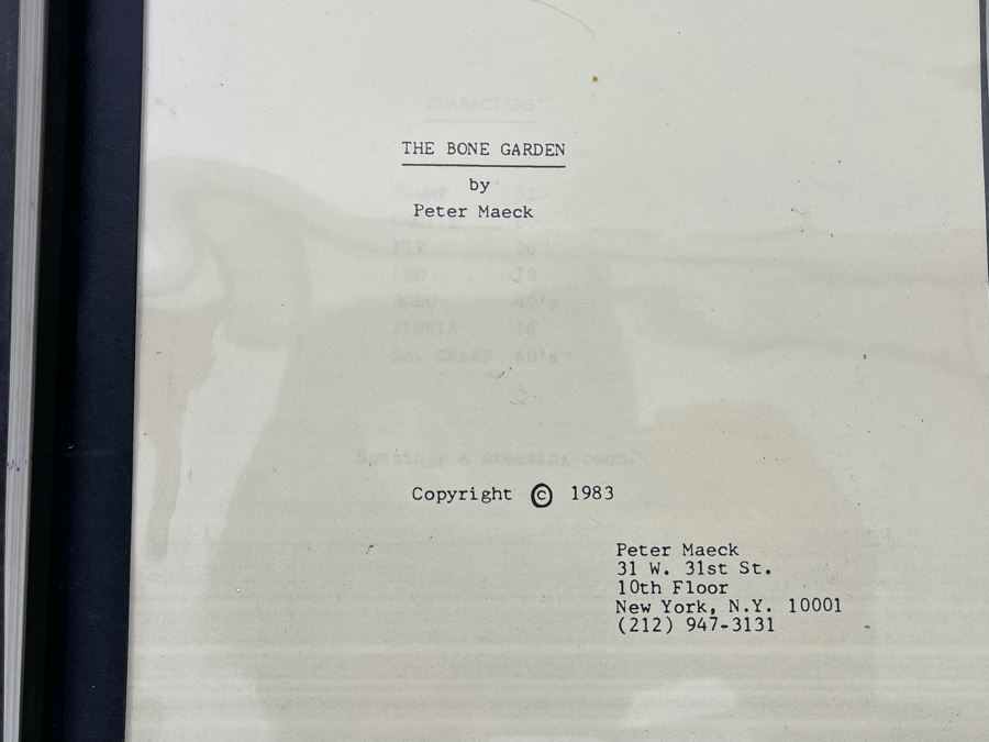 Collection Of Various Plays Theatre Movie Scripts [Photo 4]