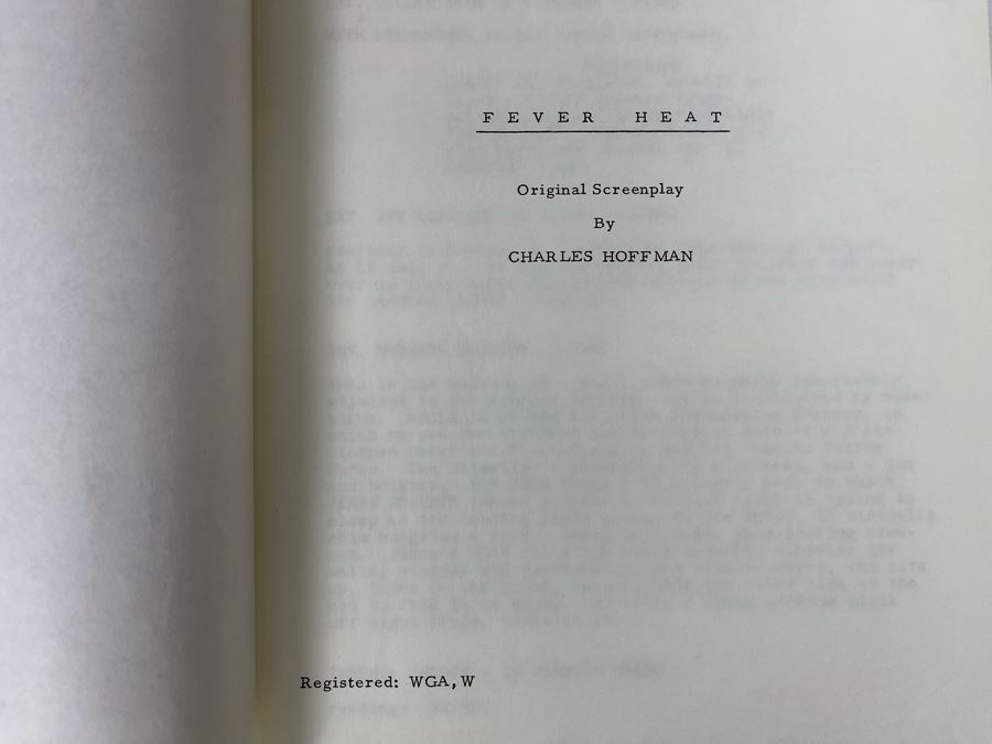 Collection Of Various Plays Theatre Movie Scripts [Photo 13]