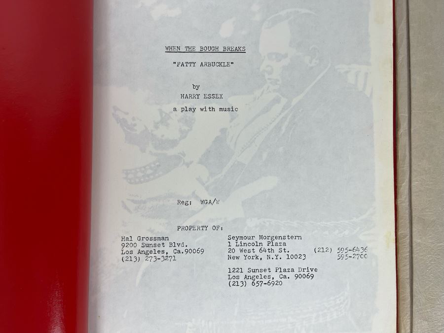 Collection Of Various Plays Theatre Movie Scripts [Photo 4]