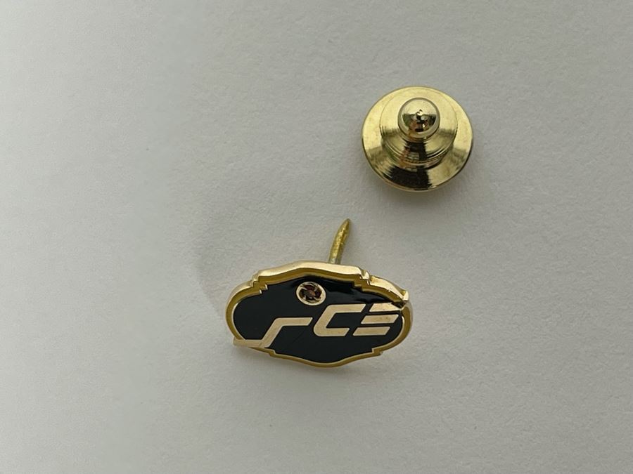 10K Gold Pin With Stone 2.5g [Photo 5]