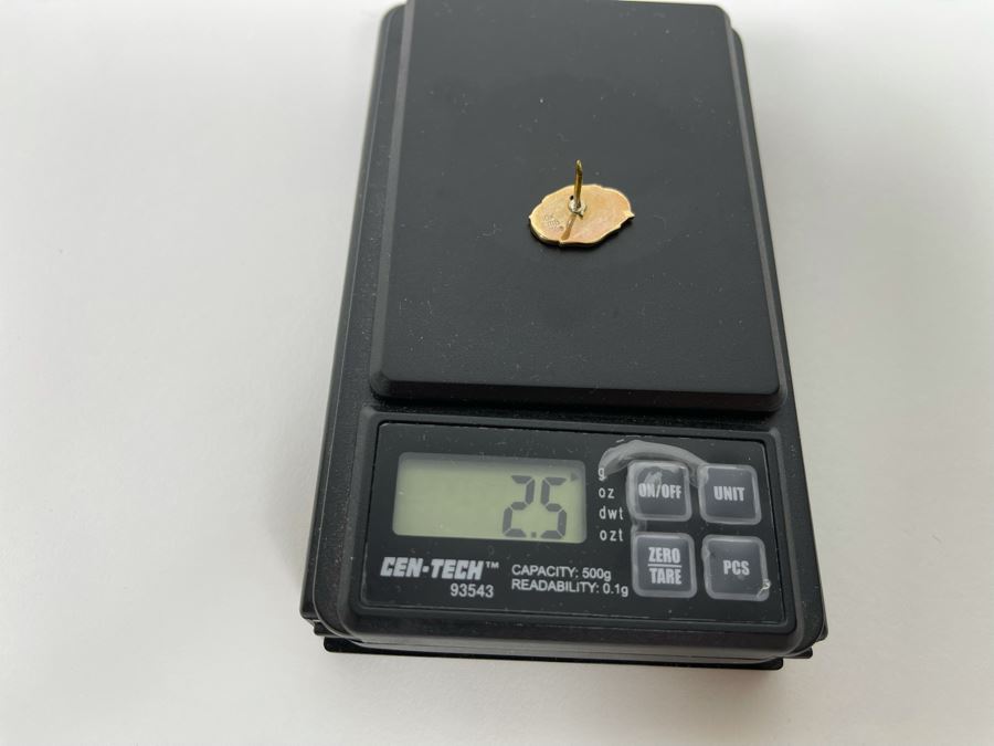 10K Gold Pin With Stone 2.5g [Photo 7]