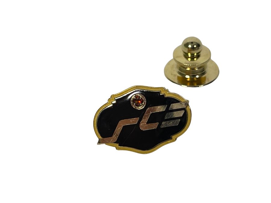 10K Gold Pin With Stone 2.5g
