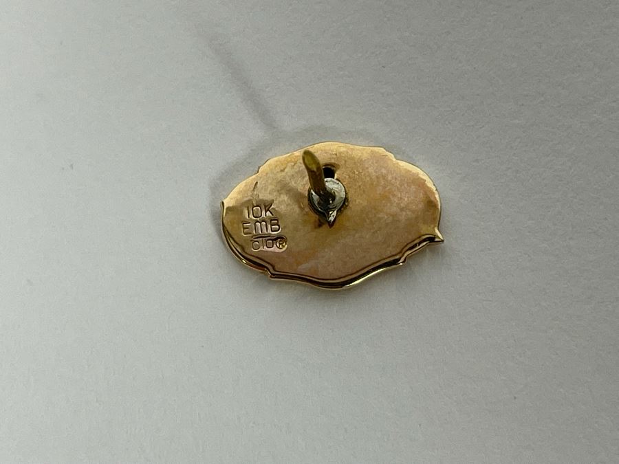 10K Gold Pin With Stone 2.5g [Photo 6]