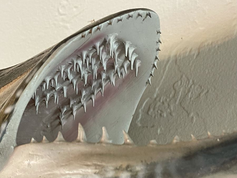 Large Muskie Fish Mount Taxidermy Caught By Client [Photo 18]