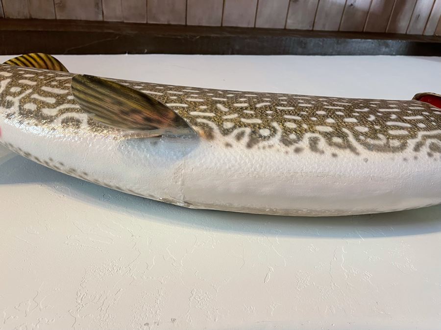 Large Muskie Fish Mount Taxidermy Caught By Client [Photo 20]