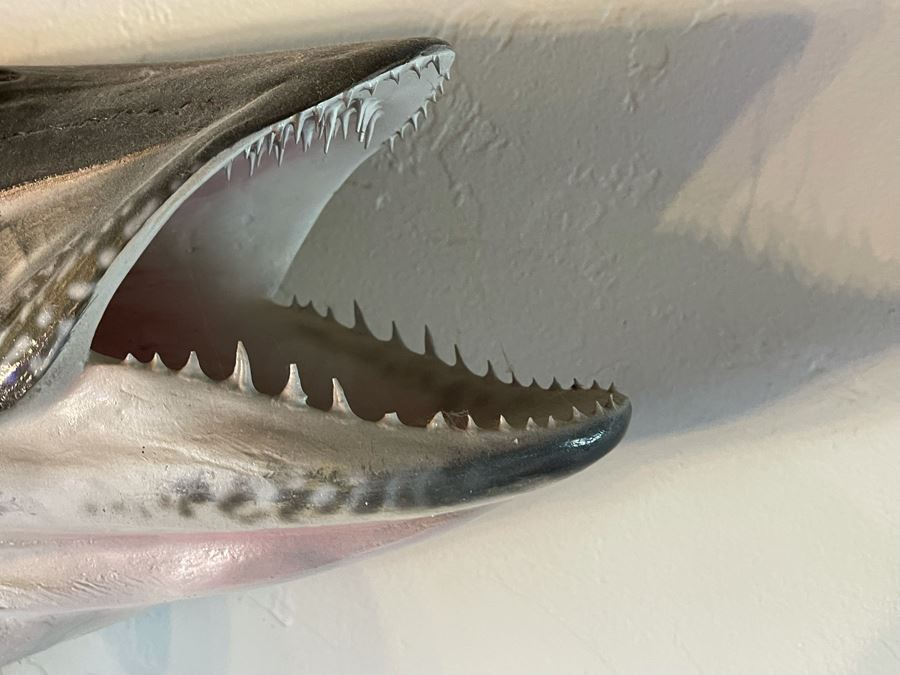 Large Muskie Fish Mount Taxidermy Caught By Client [Photo 6]