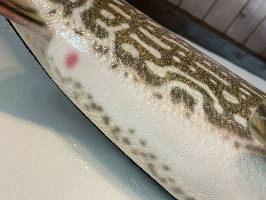 Large Muskie Fish Mount Taxidermy Caught By Client [Photo 22]