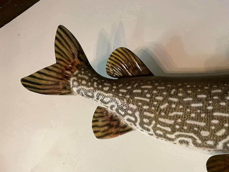 Large Muskie Fish Mount Taxidermy Caught By Client [Photo 12]