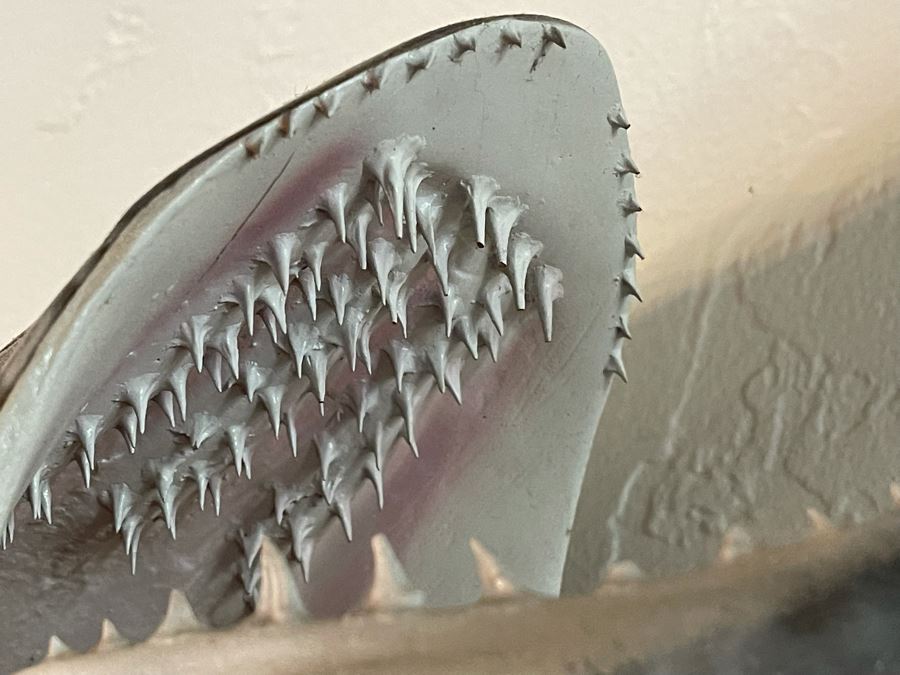 Large Muskie Fish Mount Taxidermy Caught By Client [Photo 13]