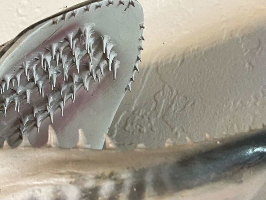 Large Muskie Fish Mount Taxidermy Caught By Client [Photo 17]