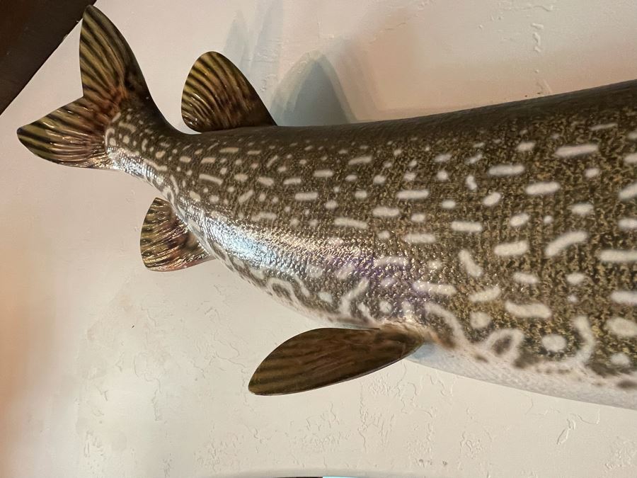 Large Muskie Fish Mount Taxidermy Caught By Client [Photo 11]