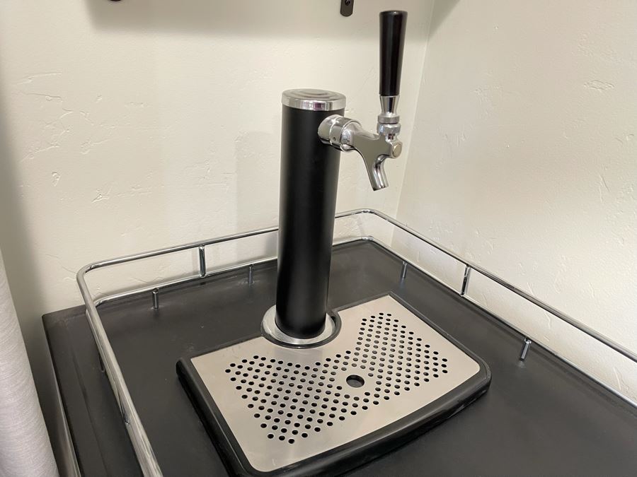 Versonel Beer Dispenser Refrigerator Model VSL166TDSS [Photo 8]