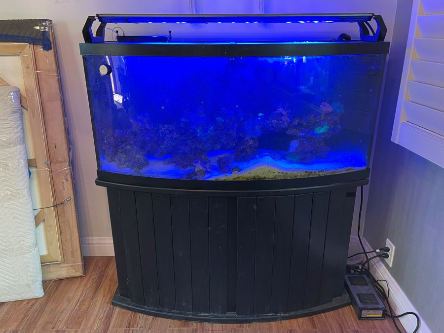Large Salt Water Aquarium With Fish, Live Coral And Supplies 'NOTE: Pick Up From Carlsbad Home By Apt / May Need To Hire Special Delivery Co' 48W X 17D X 56H [Photo 6]