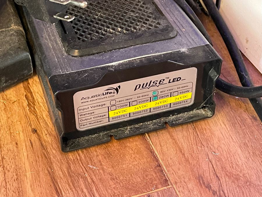 Large Salt Water Aquarium With Fish, Live Coral And Supplies 'NOTE: Pick Up From Carlsbad Home By Apt / May Need To Hire Special Delivery Co' 48W X 17D X 56H [Photo 23]